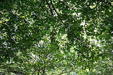 《消逝的光芒2》冬日传说活动1月5日追加全新内容